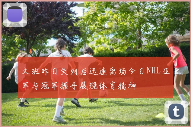 文班昨日失利后迅速离场今日NHL亚军与冠军握手展现体育精神