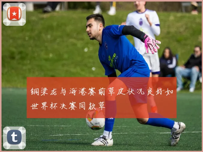 铜梁龙与海港赛前草皮状况良好如世界杯决赛同款草