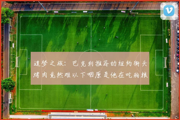 追梦之旅：巴克利推荐的纽约街头烤肉竟然难以下咽原是他在吃狗粮